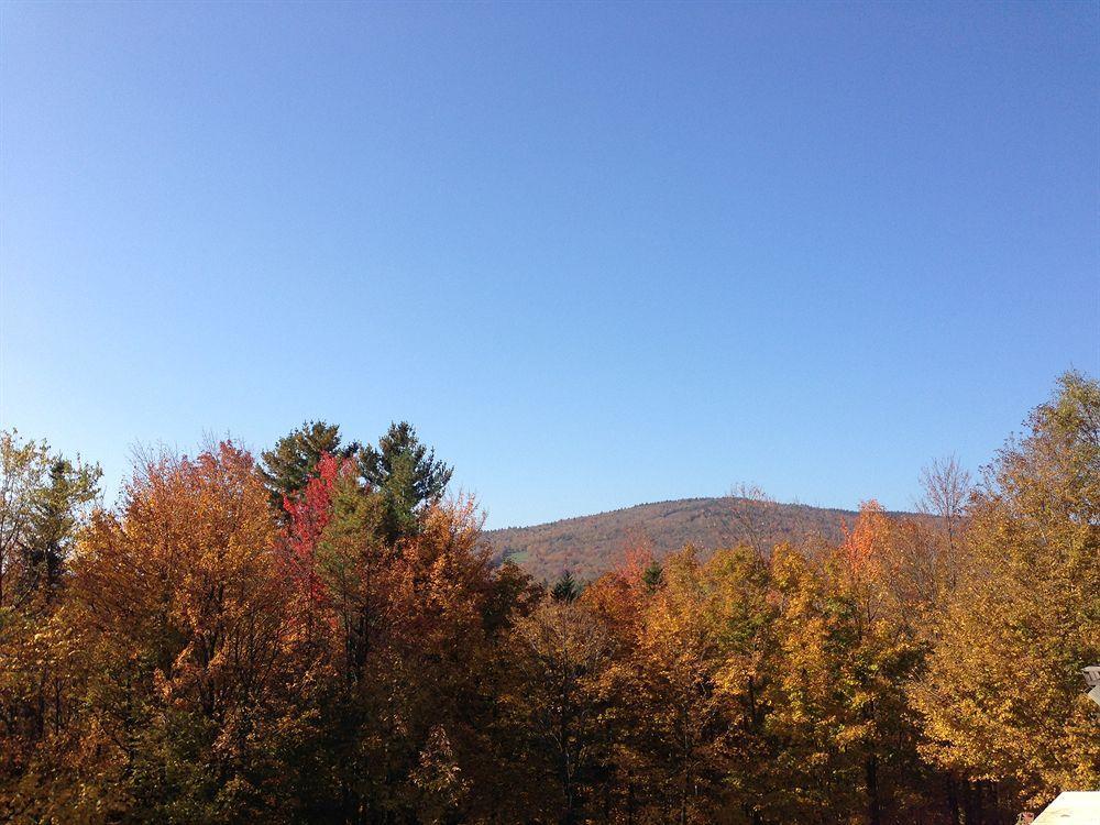 A Stone Wall Inn Windham Bagian luar foto