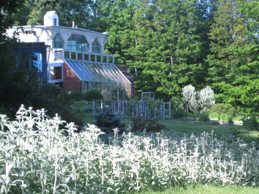 A Stone Wall Inn Windham Bagian luar foto