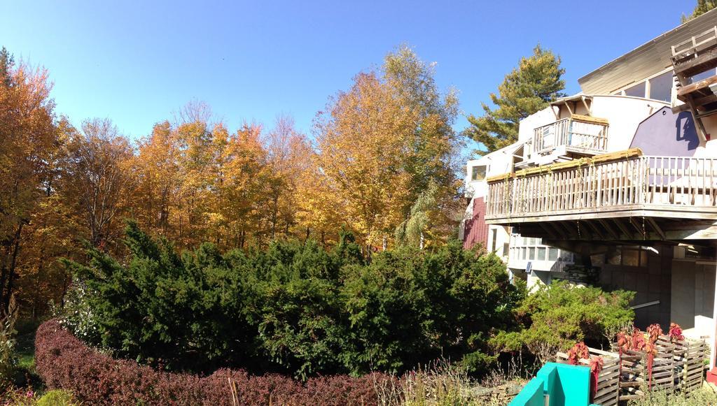 A Stone Wall Inn Windham Bagian luar foto